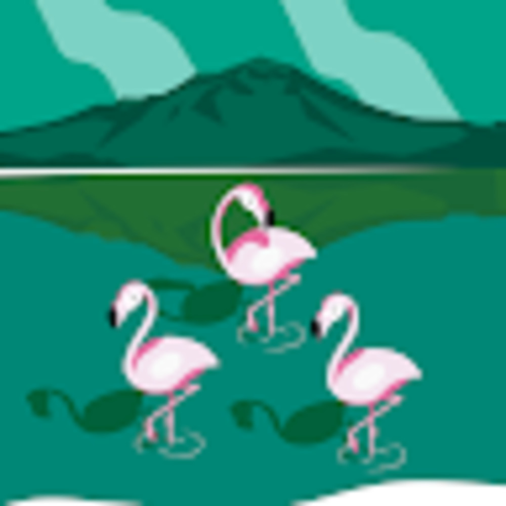 Meet your Posher, Zoey